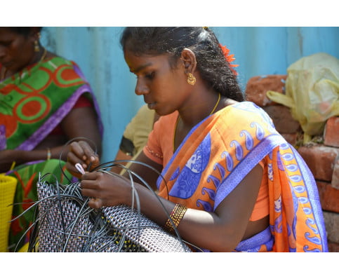 FAMILY magenta Raintree