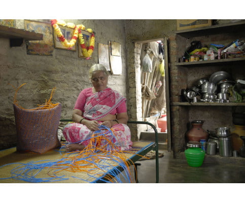 FAMILY purple Raintree